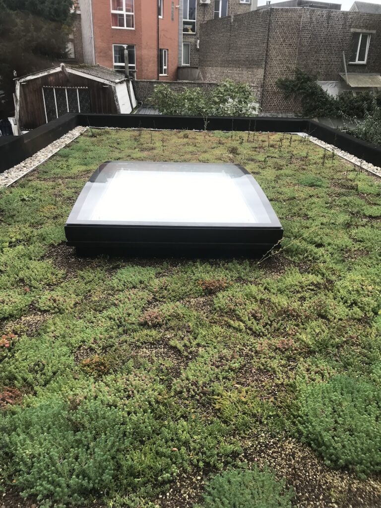 Een groendak geplaatst door Aldak